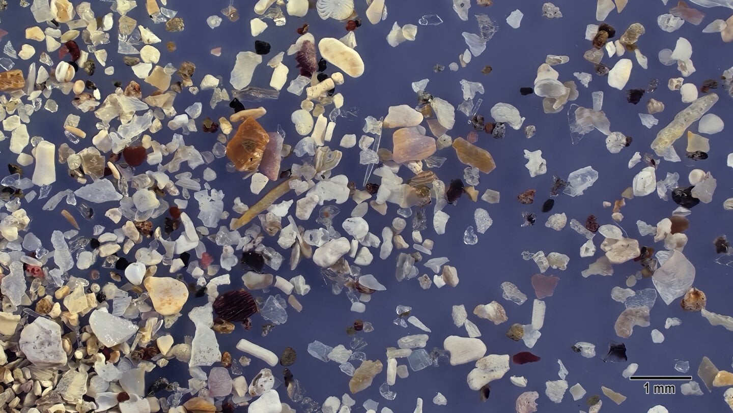 Wakimoto Beach Kagoshima Prefecture Japan Sand Grains Magnified Under Microscope 2 Wakimoto Beach Kagoshima Prefecture Japan Sand Grains Magnified Under Microscope 2