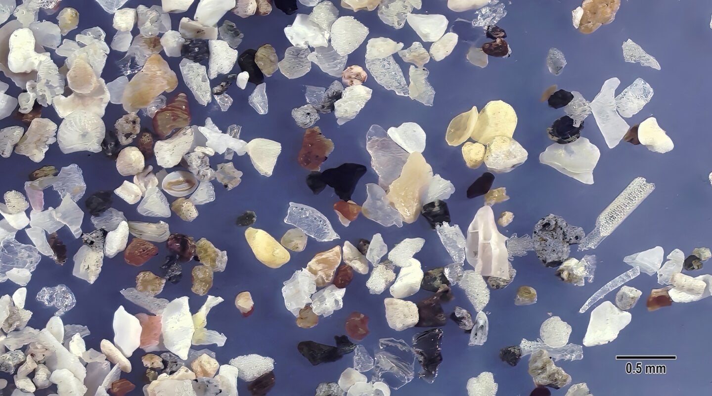 Wakimoto Beach Kagoshima Prefecture Japan Sand Grains Magnified Under Microscope 3 Wakimoto Beach Kagoshima Prefecture Japan Sand Grains Magnified Under Microscope 3