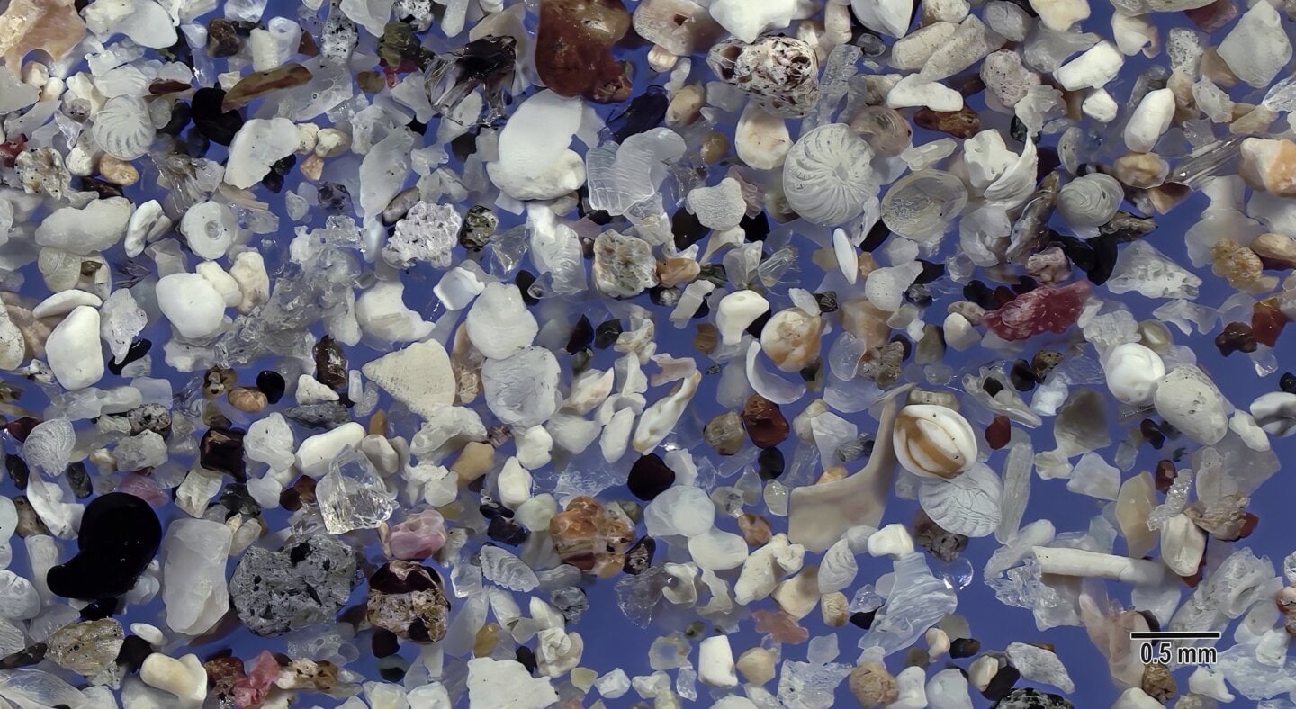 Wakimoto Beach Kagoshima Prefecture Japan Sand Grains Magnified Under Microscope 4 Wakimoto Beach Kagoshima Prefecture Japan Sand Grains Magnified Under Microscope 4