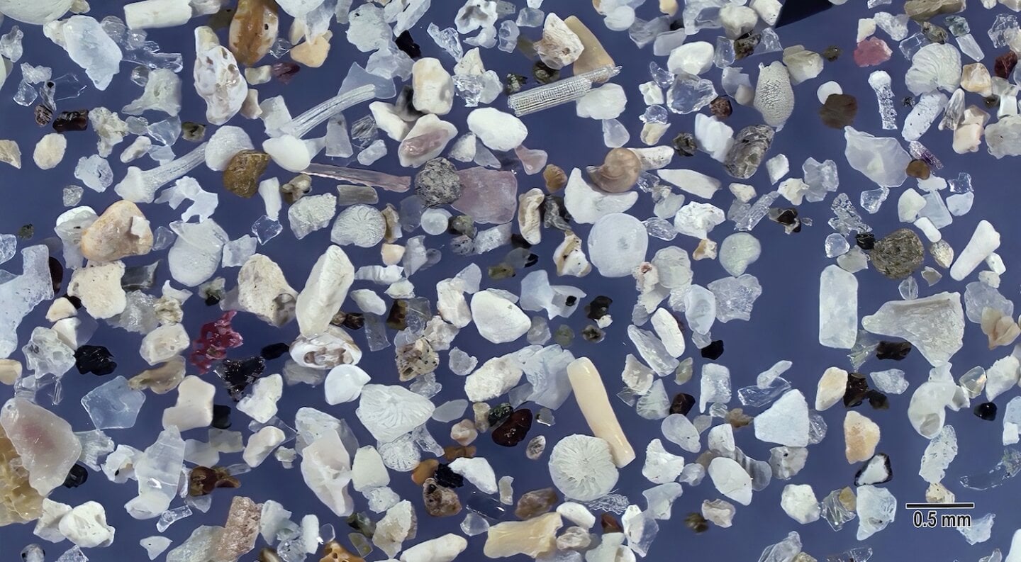 Wakimoto Beach Kagoshima Prefecture Japan Sand Grains Magnified Under Microscope View Slider