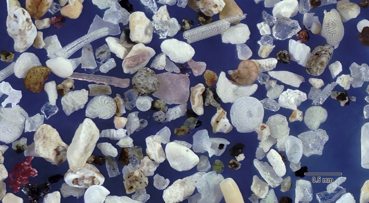Wakimoto Beach Kagoshima Prefecture Japan Sand Grains Magnified Under Microscope View Slider Magnified