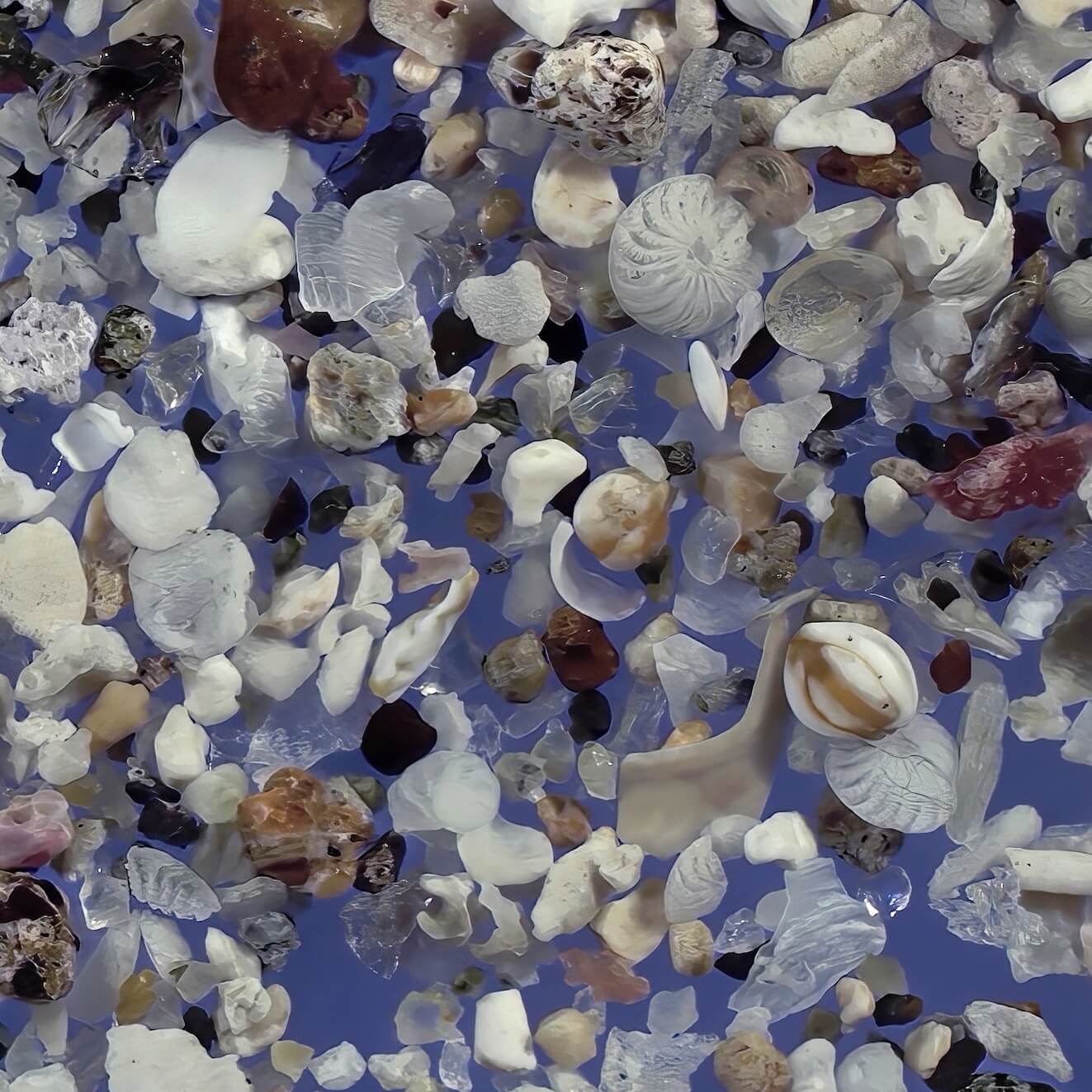 Sq1 Wakimoto Beach Kagoshima Prefecture Japan Sand Grains Magnified Under Microscope 4 Copy